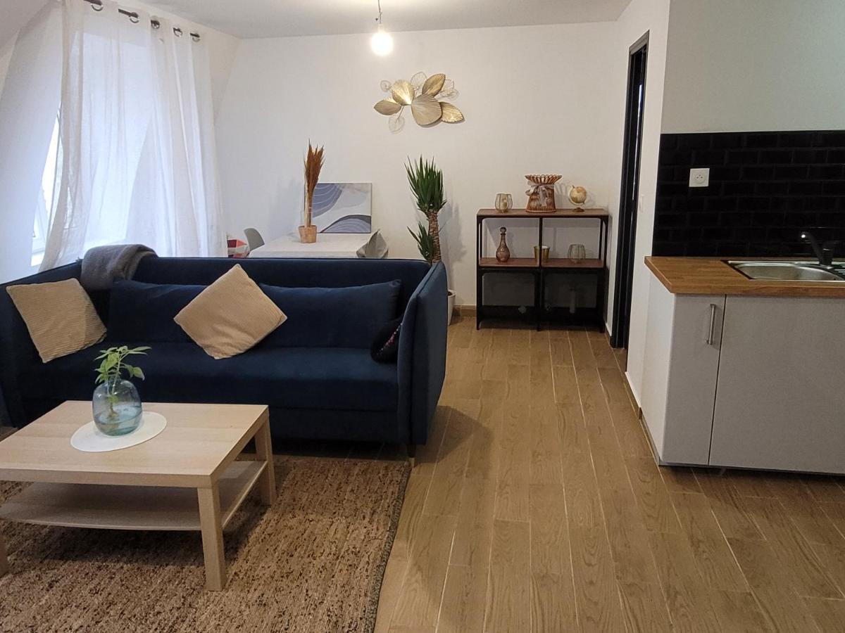 Coquet Appartement A 15Mn De Paris Et 10 Mn De Stade De France, Wifi, Netflix, Groslay Eksteriør billede